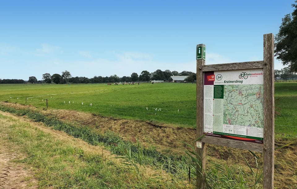 area