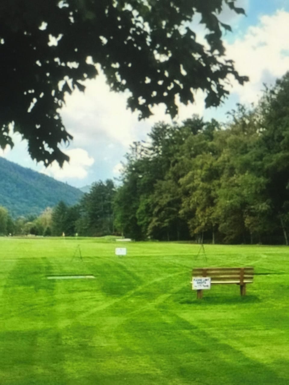 Golf