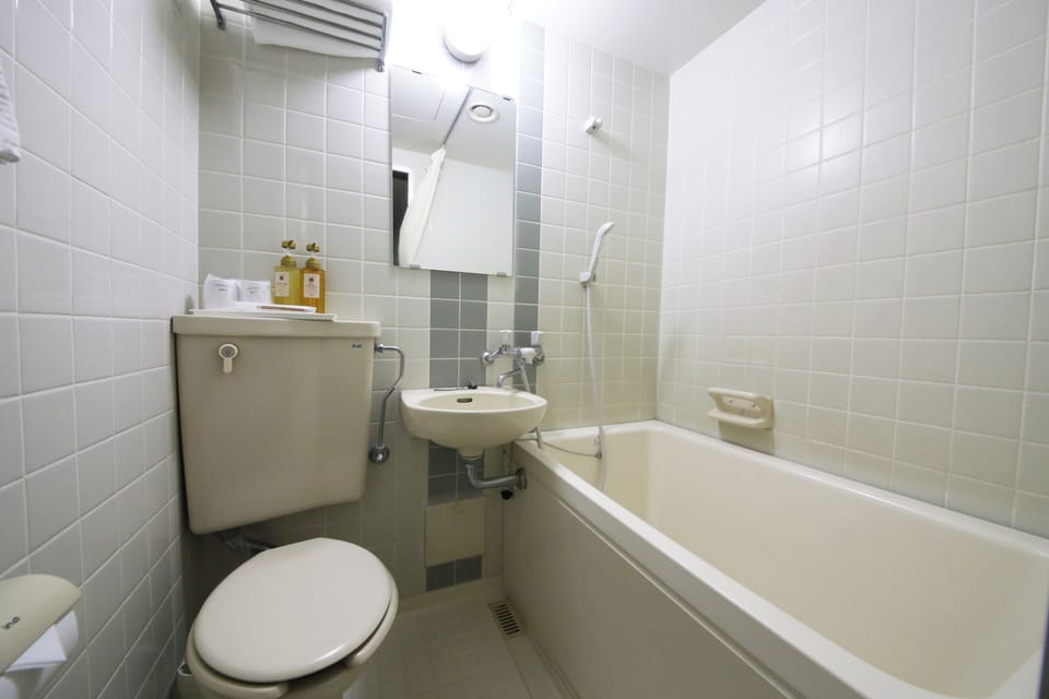 Combined shower/tub, hair dryer, slippers, towels