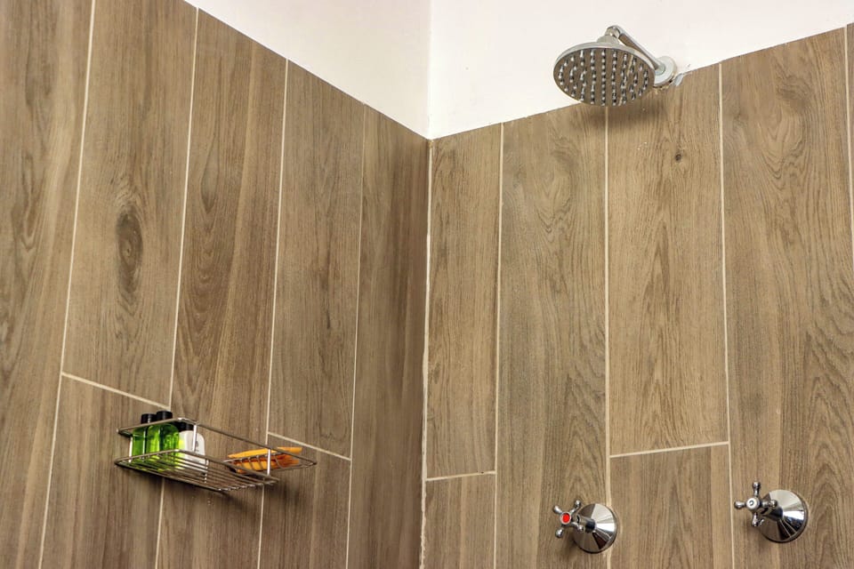 Shower, rainfall showerhead, hair dryer