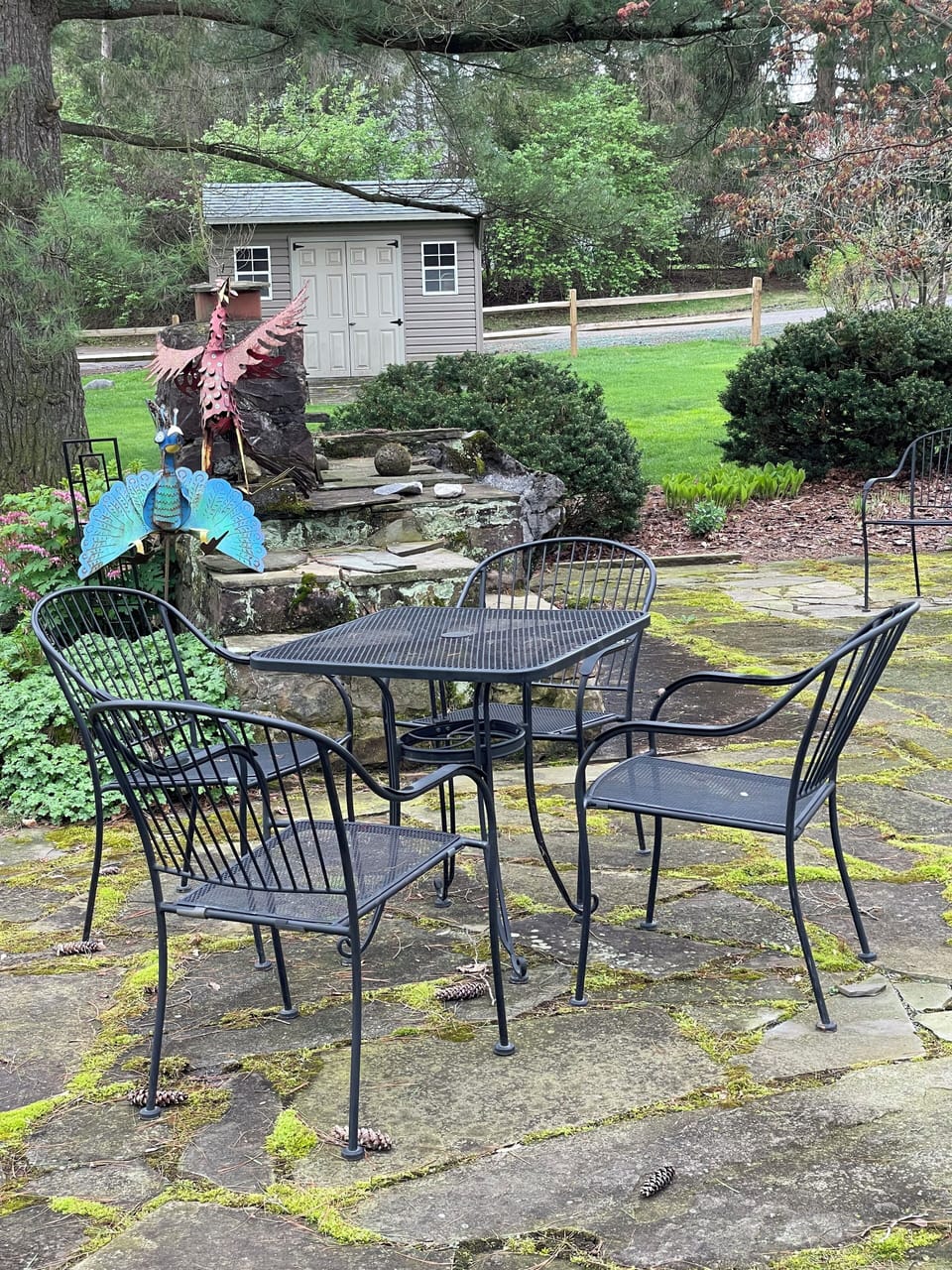 Outdoor patio dining