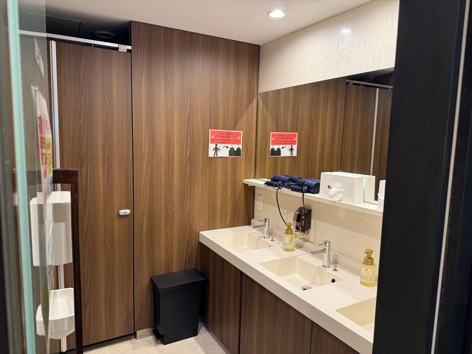 Hair dryer, electronic bidet, towels, toilet paper