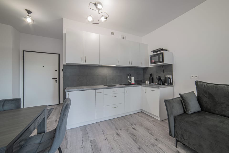 Classic Apartment, 1 Double Bed with Sofa bed | Private kitchenette | Fridge, microwave, stovetop, dishwasher