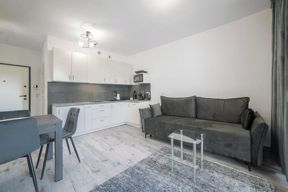 Classic Apartment, 1 Double Bed with Sofa bed | Private kitchenette | Fridge, microwave, stovetop, dishwasher