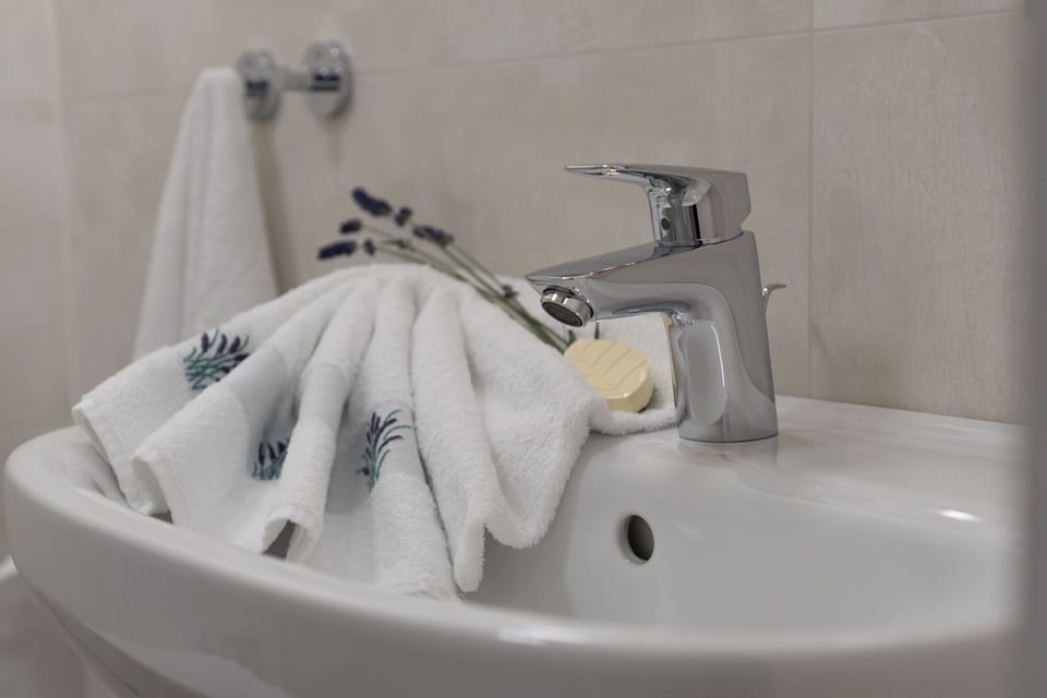 Deluxe Double Room, Private Bathroom | Bathroom | Shower, rainfall showerhead, free toiletries, hair dryer