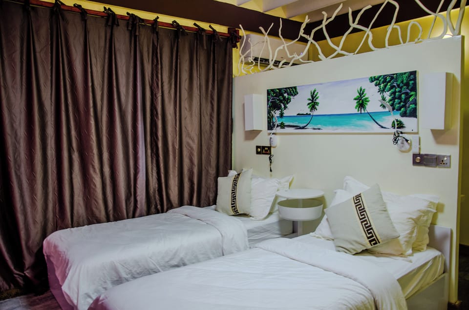 Deluxe Twin Room | Minibar, iron/ironing board, free WiFi