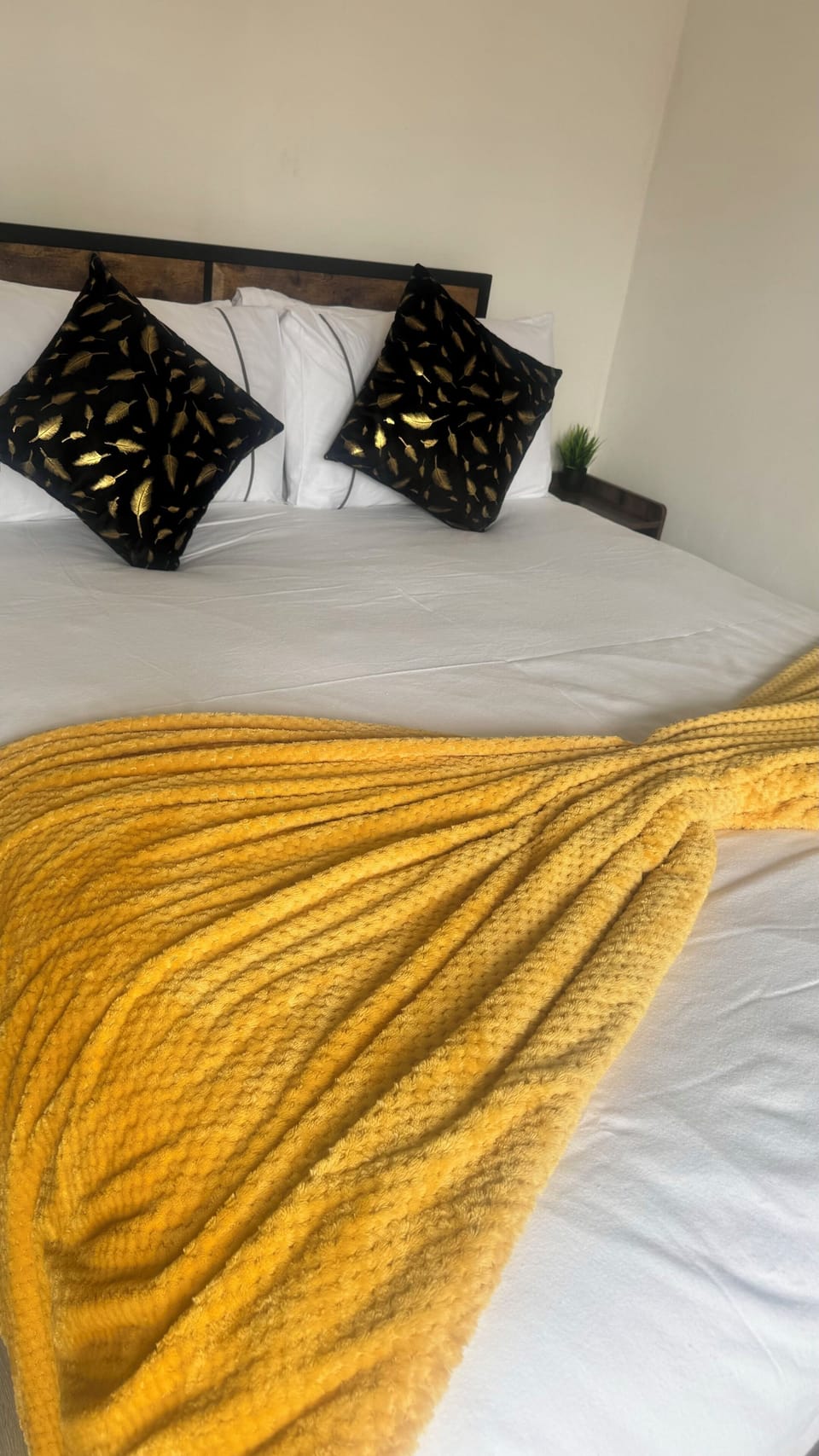 Double bed, open plan studio