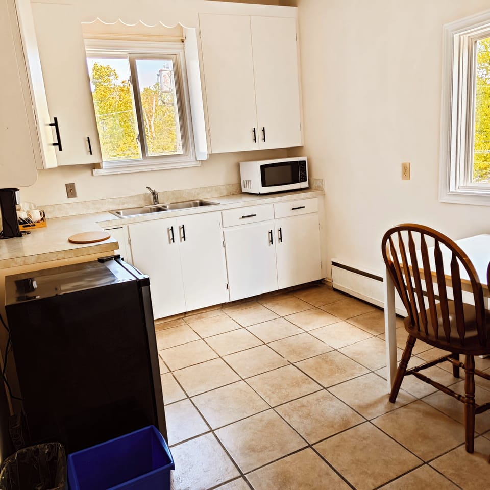 Family Suite, 2 Bedrooms, Kitchenette | Private kitchenette | Electric kettle