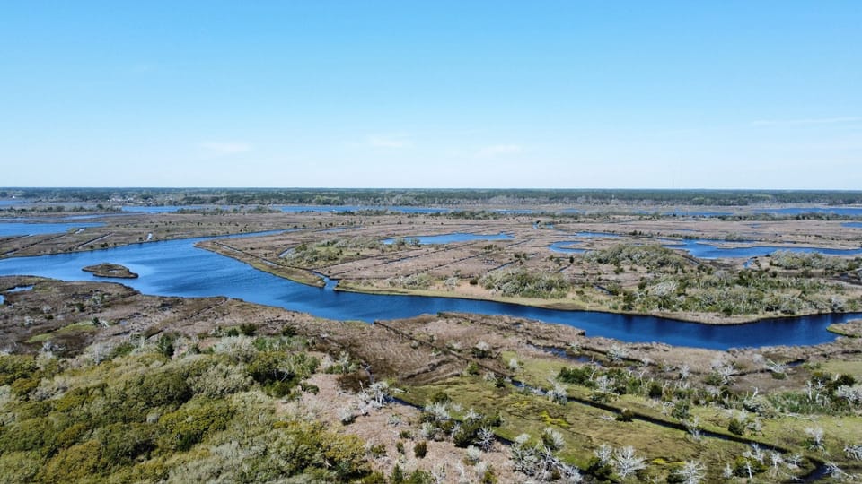 Marsh View