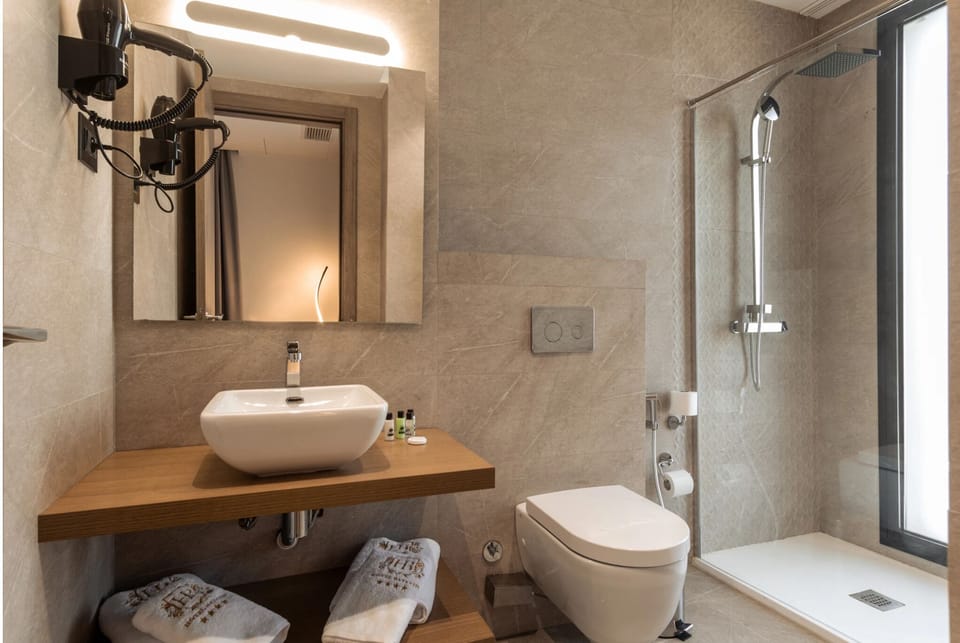 Standard Double or Twin Room, Private Bathroom | Bathroom | Free toiletries, hair dryer, bathrobes, bidet