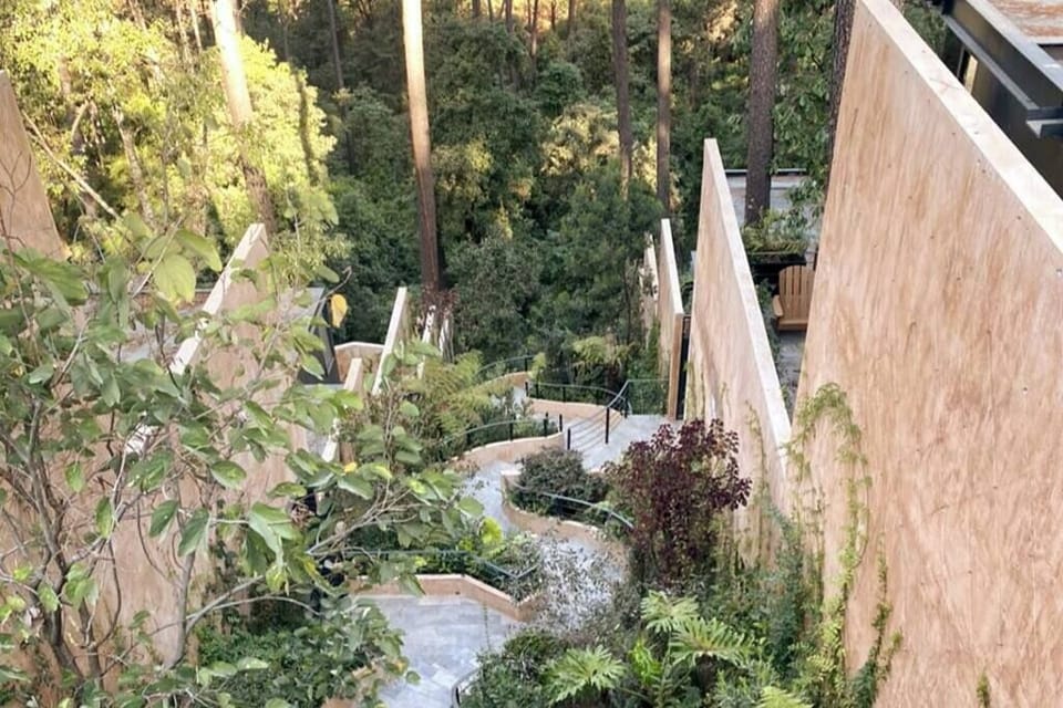 Vistas increíbles hacia el bosque