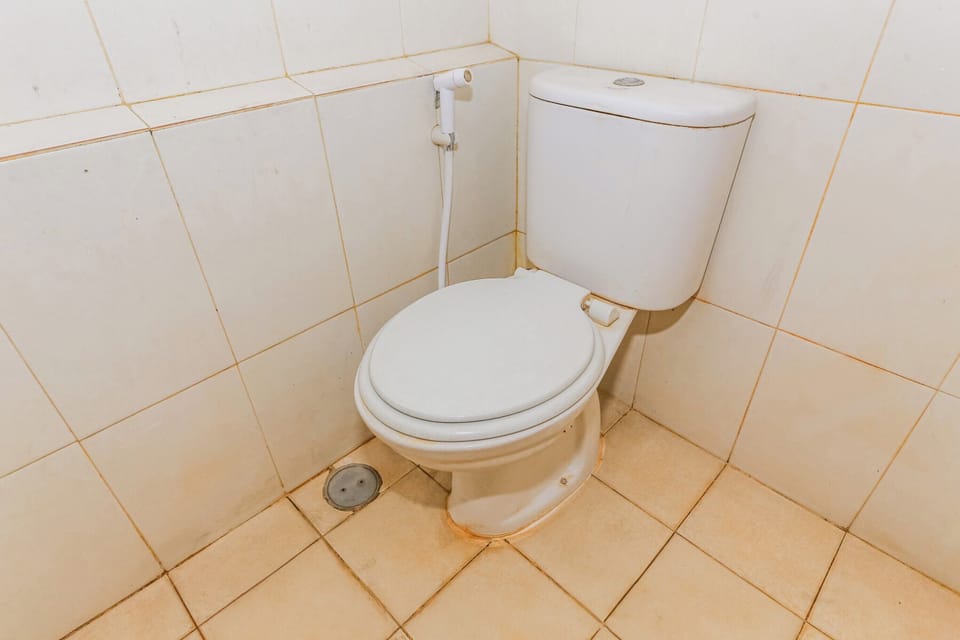 Deluxe Double Room | Bathroom | Free toiletries, towels, soap, shampoo