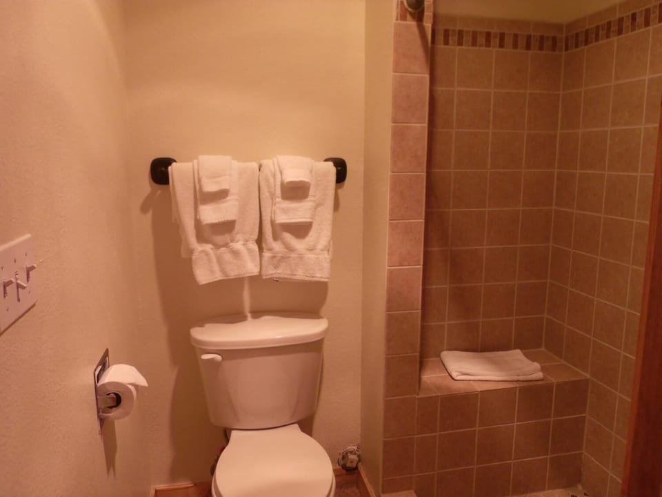 Shower, free toiletries, hair dryer, towels