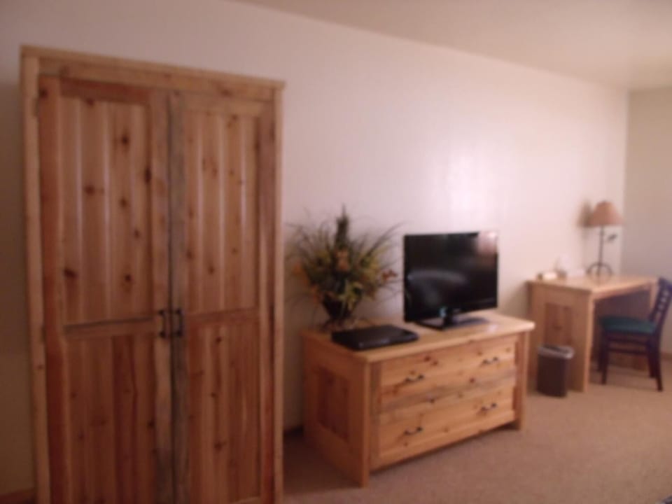 Desk, iron/ironing board, free rollaway beds, free WiFi