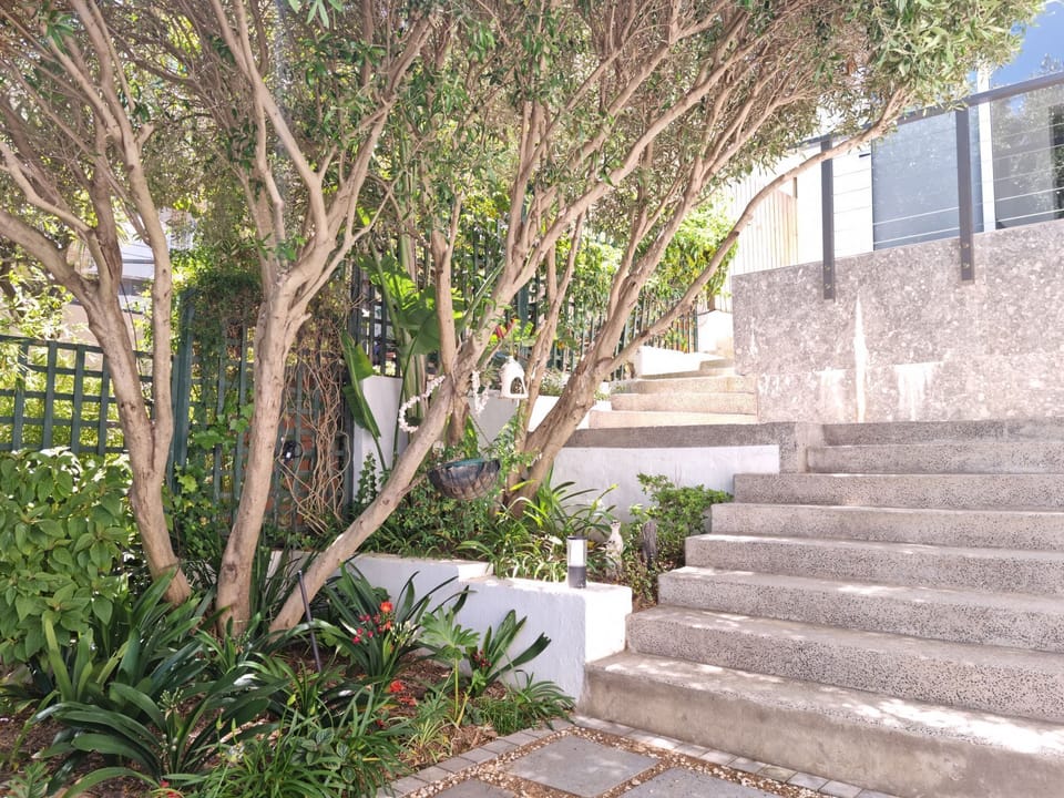 The stairs leading up to the house 