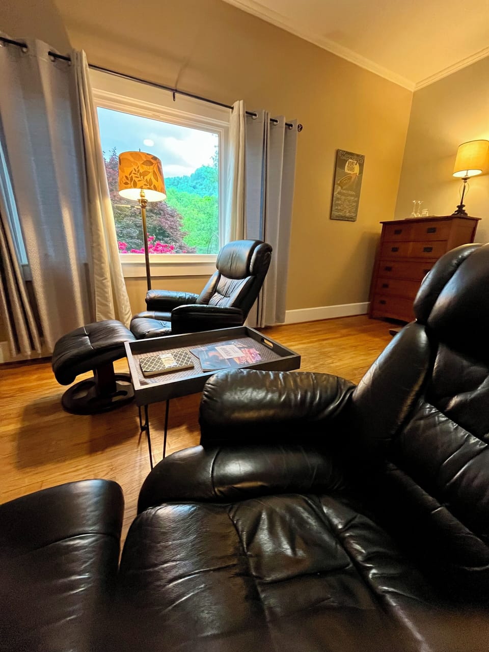Luxury Room, 1 King Bed, Non Smoking, Mountain View (Pet Friendly) | Living area | 40-inch flat-screen TV with digital channels, TV, DVD player