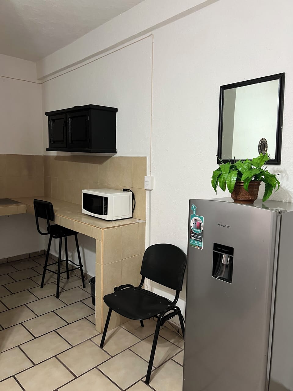 Basic Apartment | Private kitchen | Microwave, kitchen islands