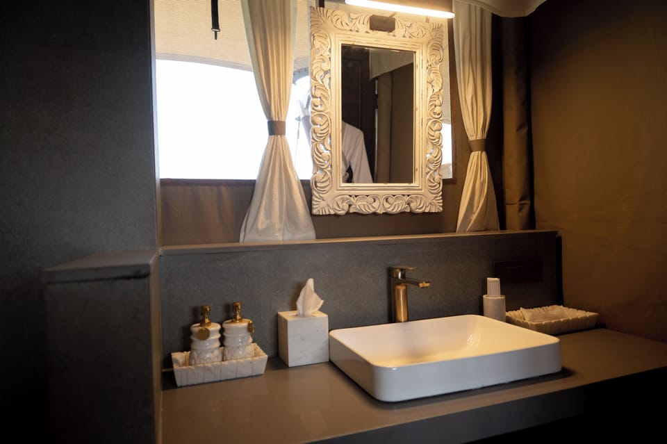 Royal Suite | Bathroom | Shower, rainfall showerhead, designer toiletries, hair dryer
