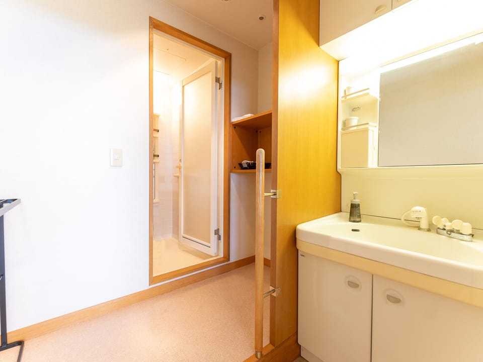 Western Modern Japanese-Western Room (52 sqm) | Bathroom | Hair dryer, toilet paper