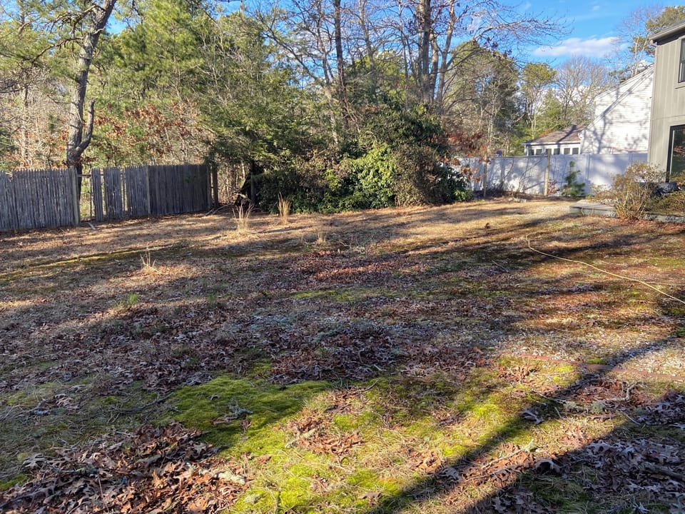 Big backyard