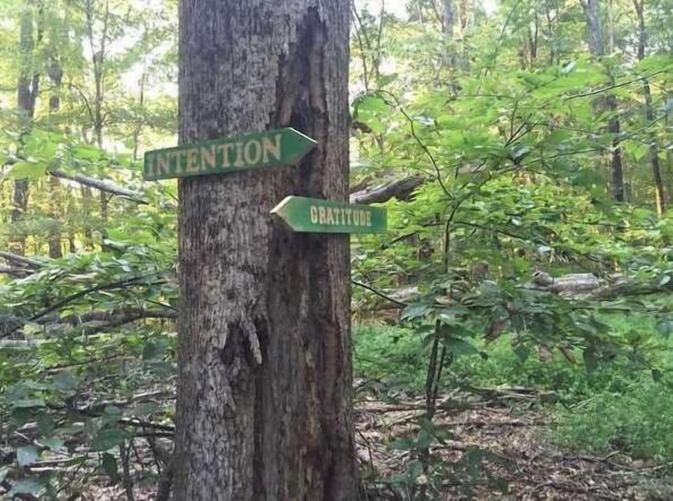 Many hiking trails start just behind the house and across the creek