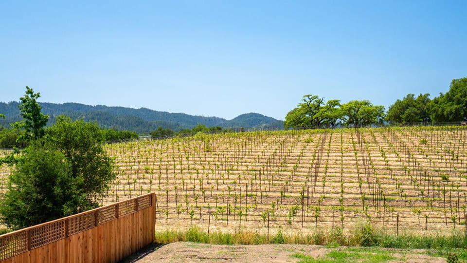 Soak in the stunning vineyard views that wine country has to offer