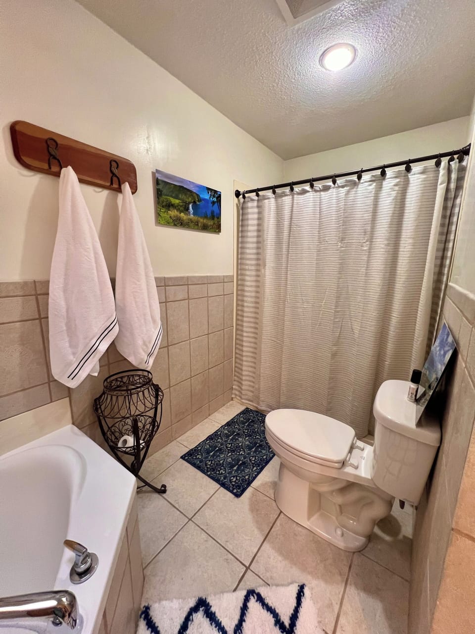 Primary Bathroom Shower
