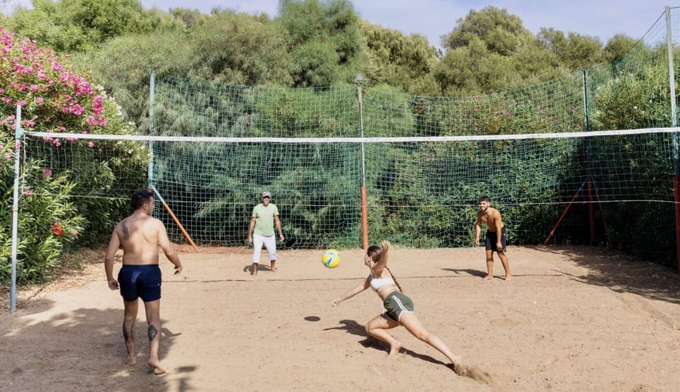 Sport court