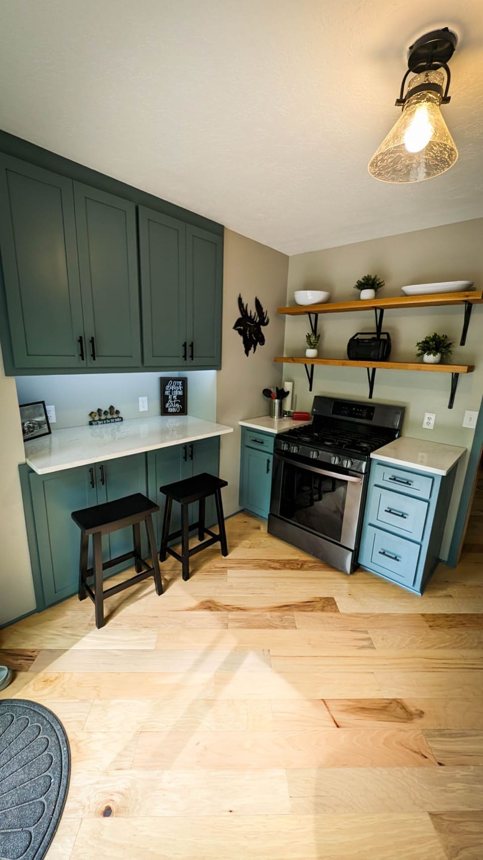 Fully Remodeled Kitchen, Spring 2024.