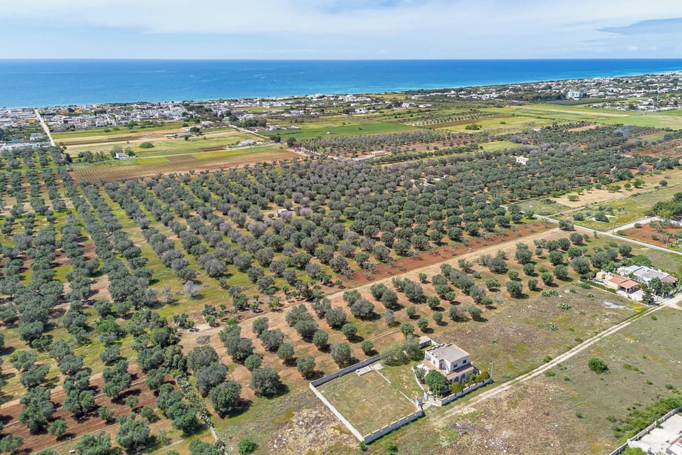 Family Villa, 4 Bedrooms, 2 Bathrooms (Villa Mattalia Relax at Sea) | Aerial view