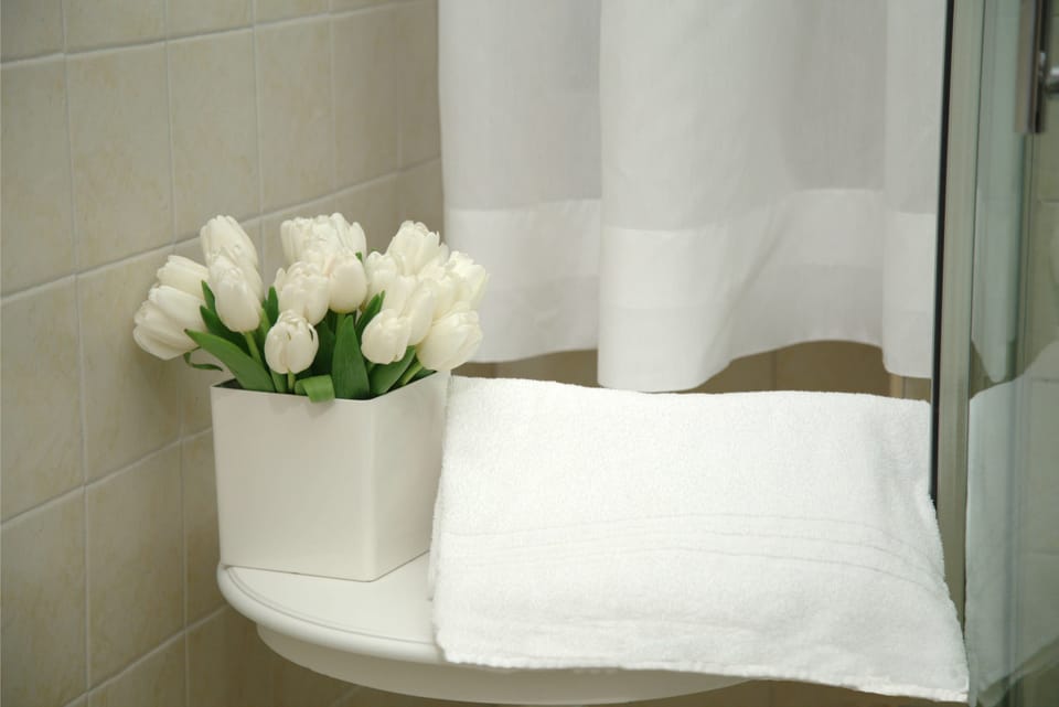 Deluxe Double Room | Bathroom amenities | Free toiletries, hair dryer, bidet, towels