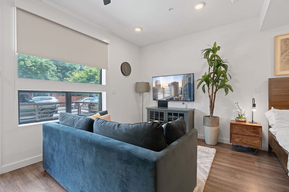 Living area with sofa bed
