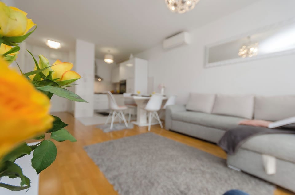 Apartment (A1) | Living room | Smart TV