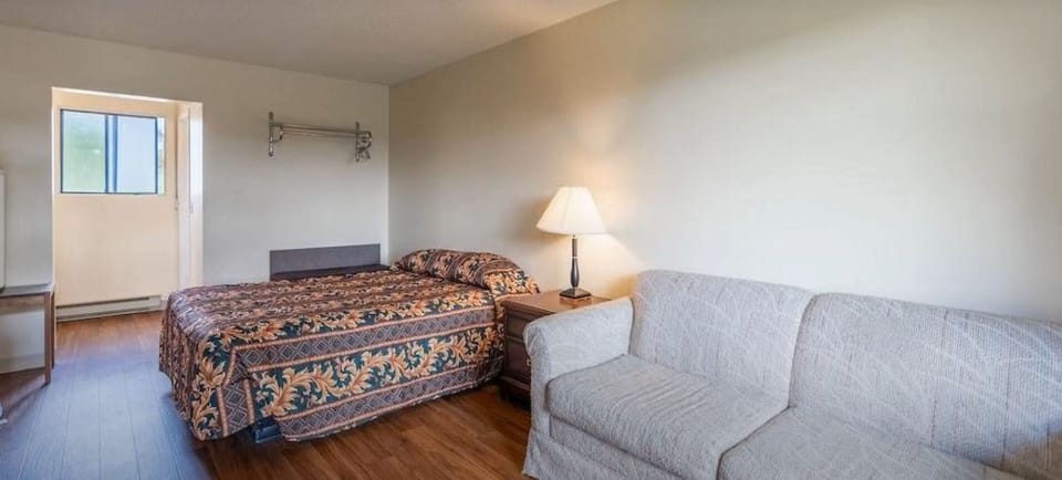 Single Room, 1 Queen Bed, Non Smoking | Living area