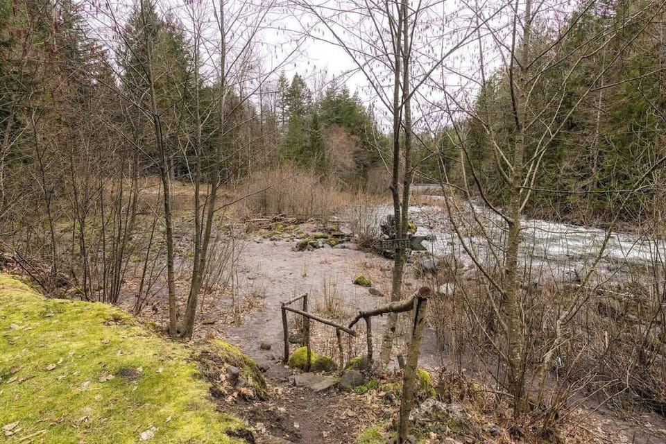 Rustic trail leads to a peaceful riverside spot, surrounded by mossy rocks, leafless trees, and dense evergreen forest.