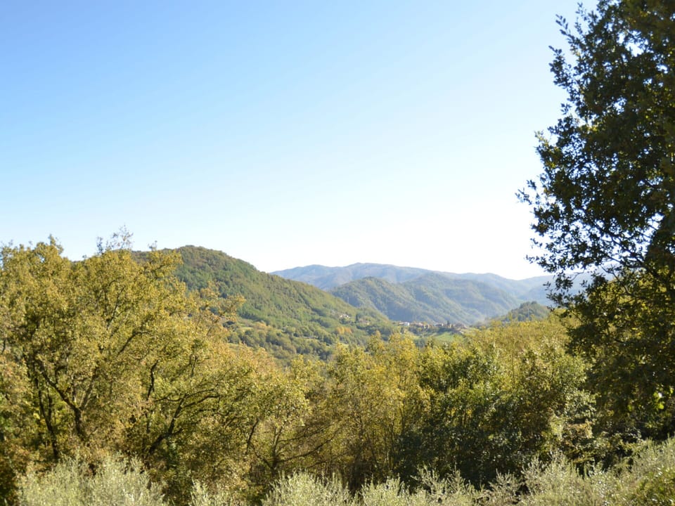 Cottage | View from property