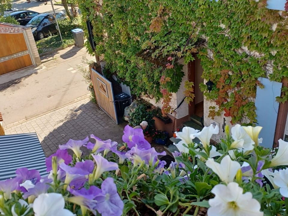 Apartment | Exterior