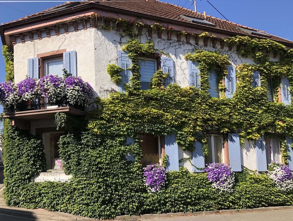 Apartment | Exterior