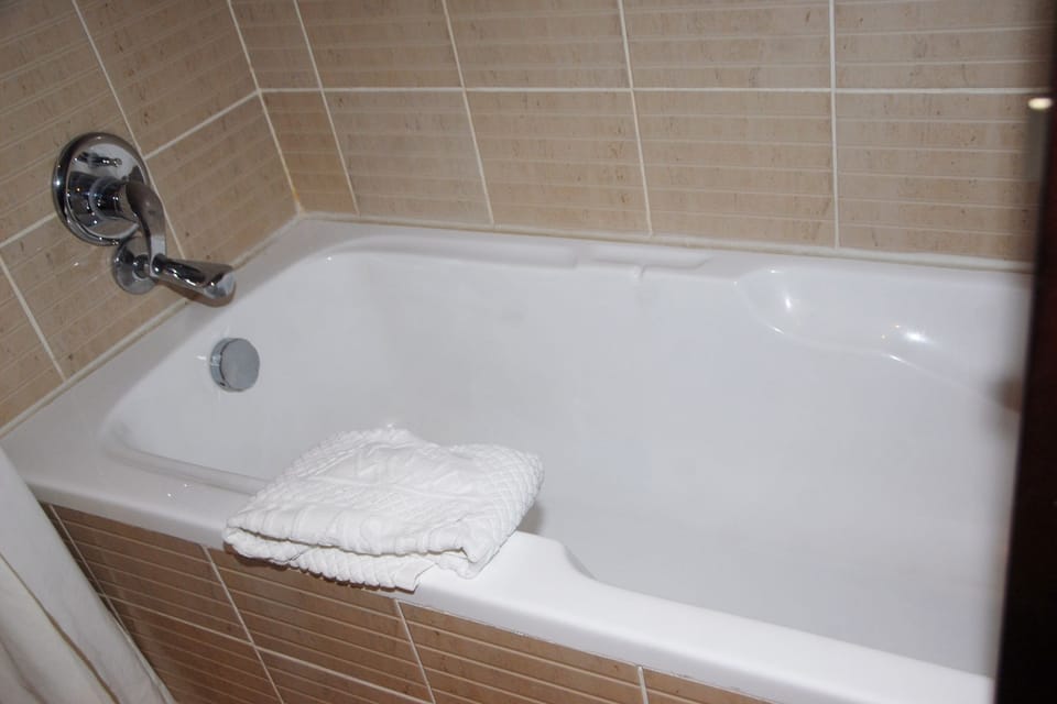 Combined shower/tub, free toiletries, hair dryer (on request), towels