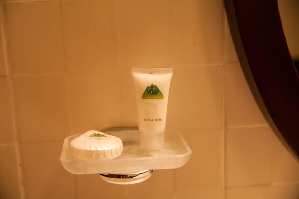 Combined shower/tub, free toiletries, hair dryer, bathrobes
