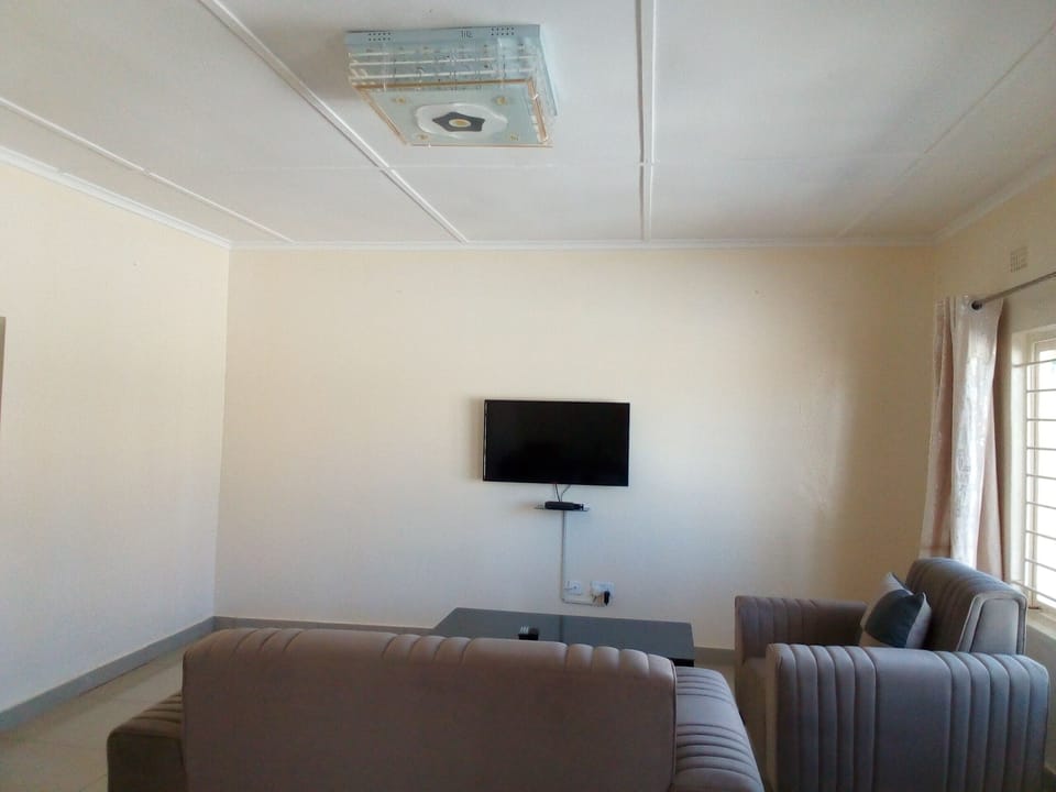 Flat-screen TV