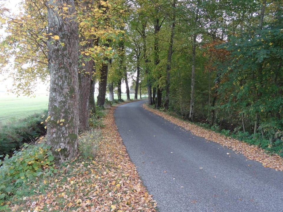 House | Miscellaneous