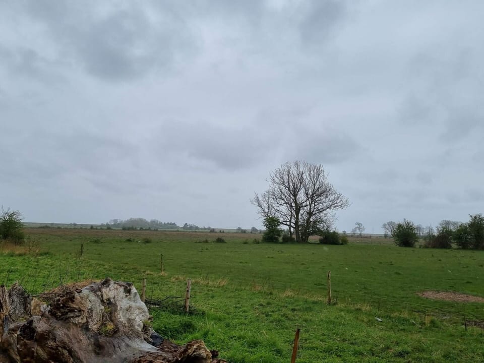 House | Miscellaneous