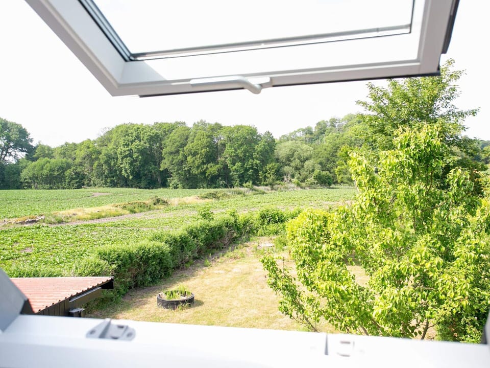 House | View from property