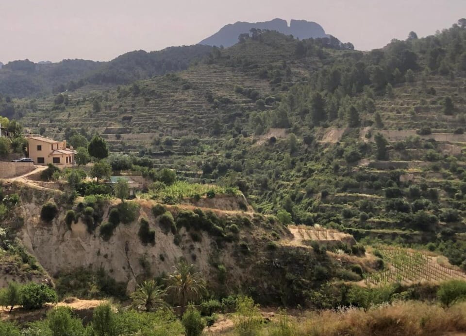 House | View from property