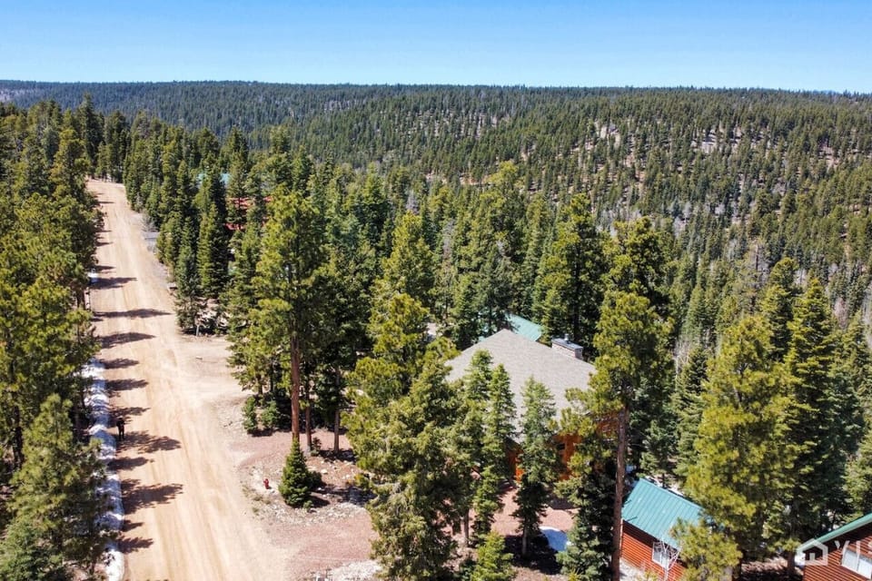 Welcome to Bear Country Road ❤️