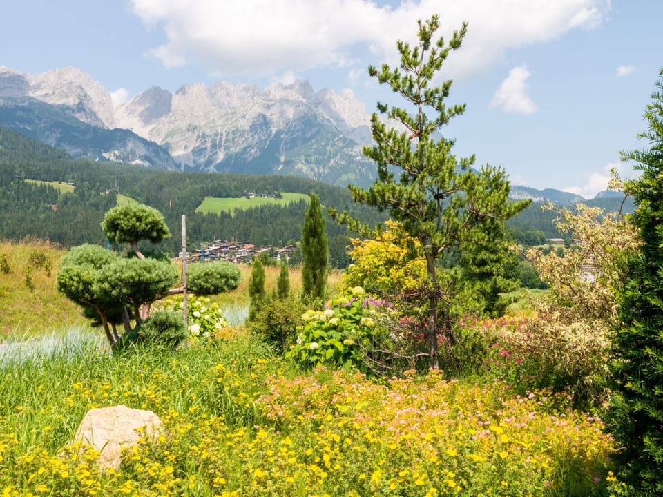 Apartment | View from property