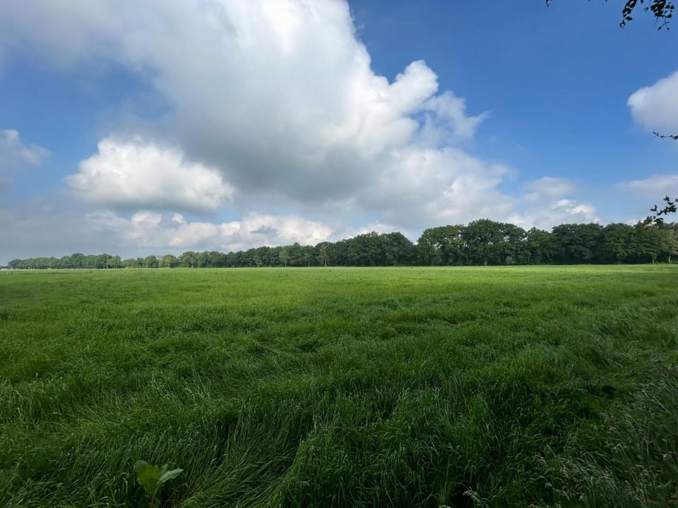 House | View from property