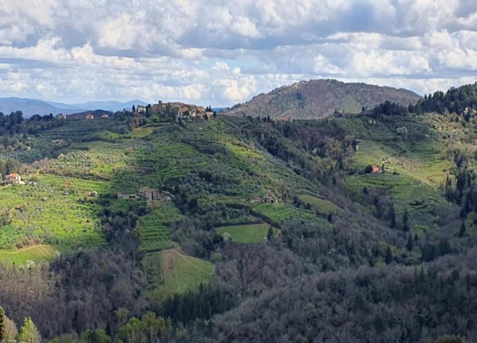 Villa | View from property