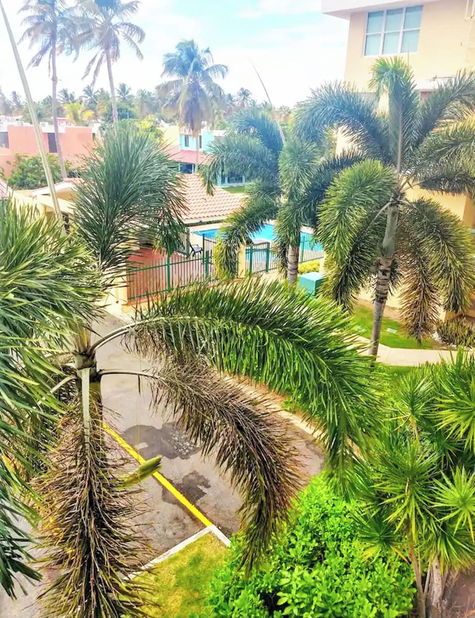 Outdoor space and landscaping from the third floor facing the pool area. 